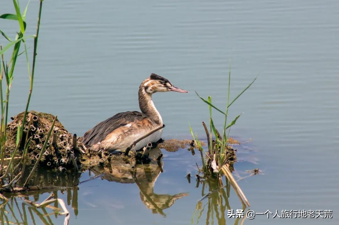 西北第一条高铁,苦等11年