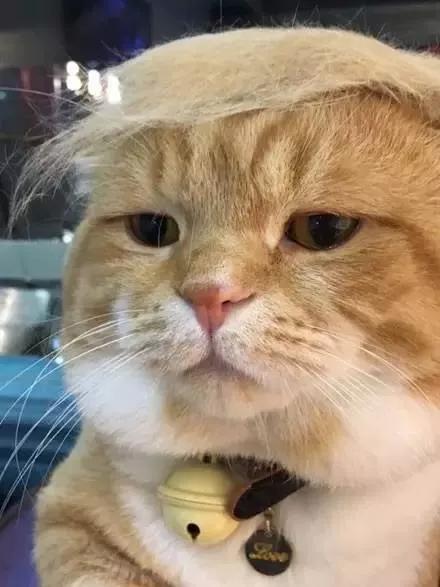 屈臣氏千万别下架的产品,屈臣氏产品怎么那么便宜