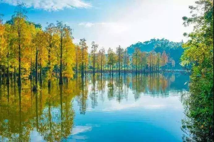 惠州润杨溪谷温泉别墅6房,惠州润杨溪谷别墅户型图