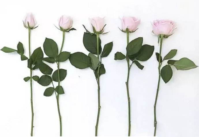 调醋的正确方法与技巧,酿醋方法和技巧