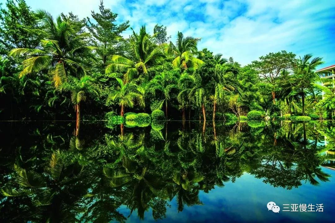 为什么要来三亚？这是我见过最好的答案