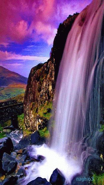 100张会动照片,30张罕见且迷人的图片