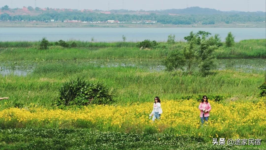 其实长沙还藏着很多小众景点,长沙一日游小众景点推荐