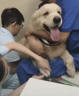 每日一笑看完你能不能忍住不笑,每日一笑看了让你笑