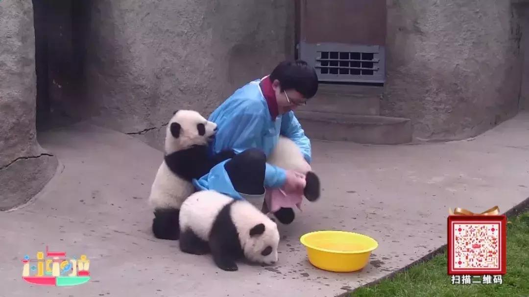 鞠萍姐姐走进三门核电,鞠萍姐姐谍影重重