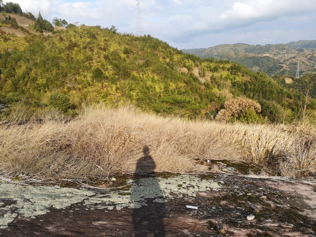 在森林书店的日子,在森林里看书的女孩