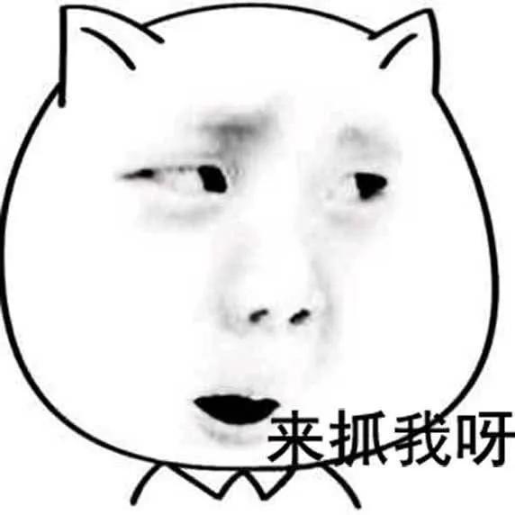 男子诈骗得手后挑衅：你让警察来抓我啊！警察：来了！