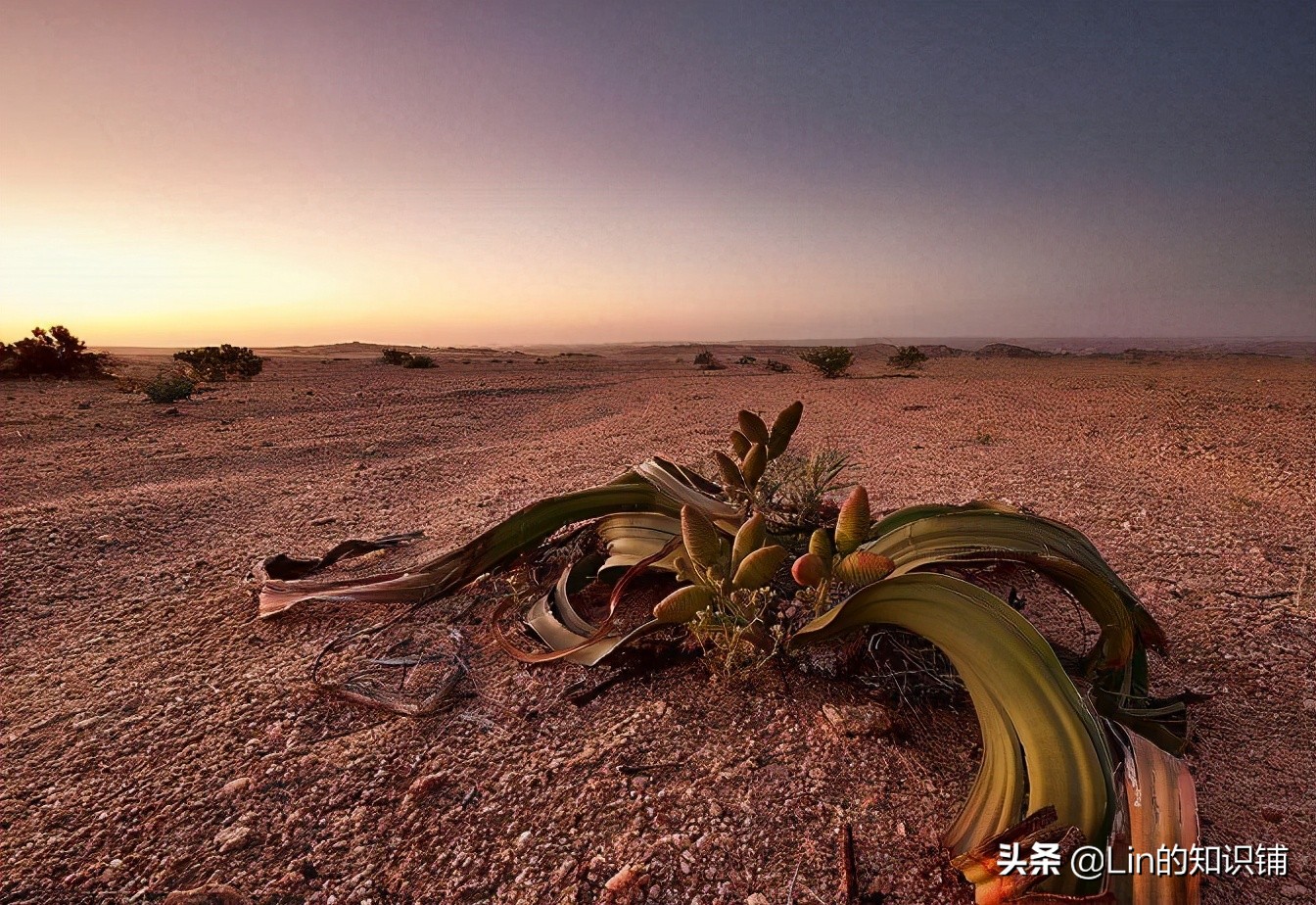10条有趣的冷知识,很多人不知道的20个趣味冷知识