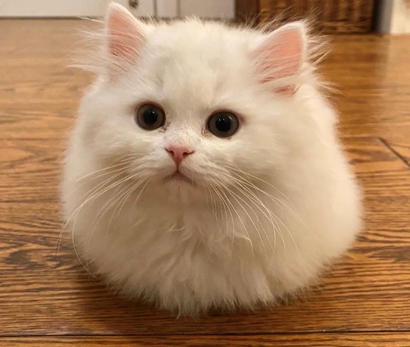 问女朋友520想要什么礼物,给女朋友发的520礼物