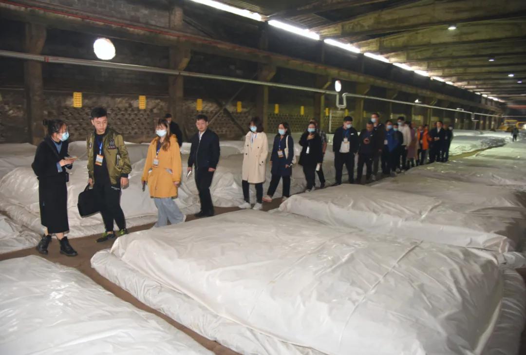 六尺巷的故事与家风,六尺巷历史故事及真谛