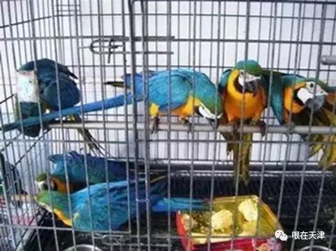 天津哏儿都的好去处,天津哏儿都