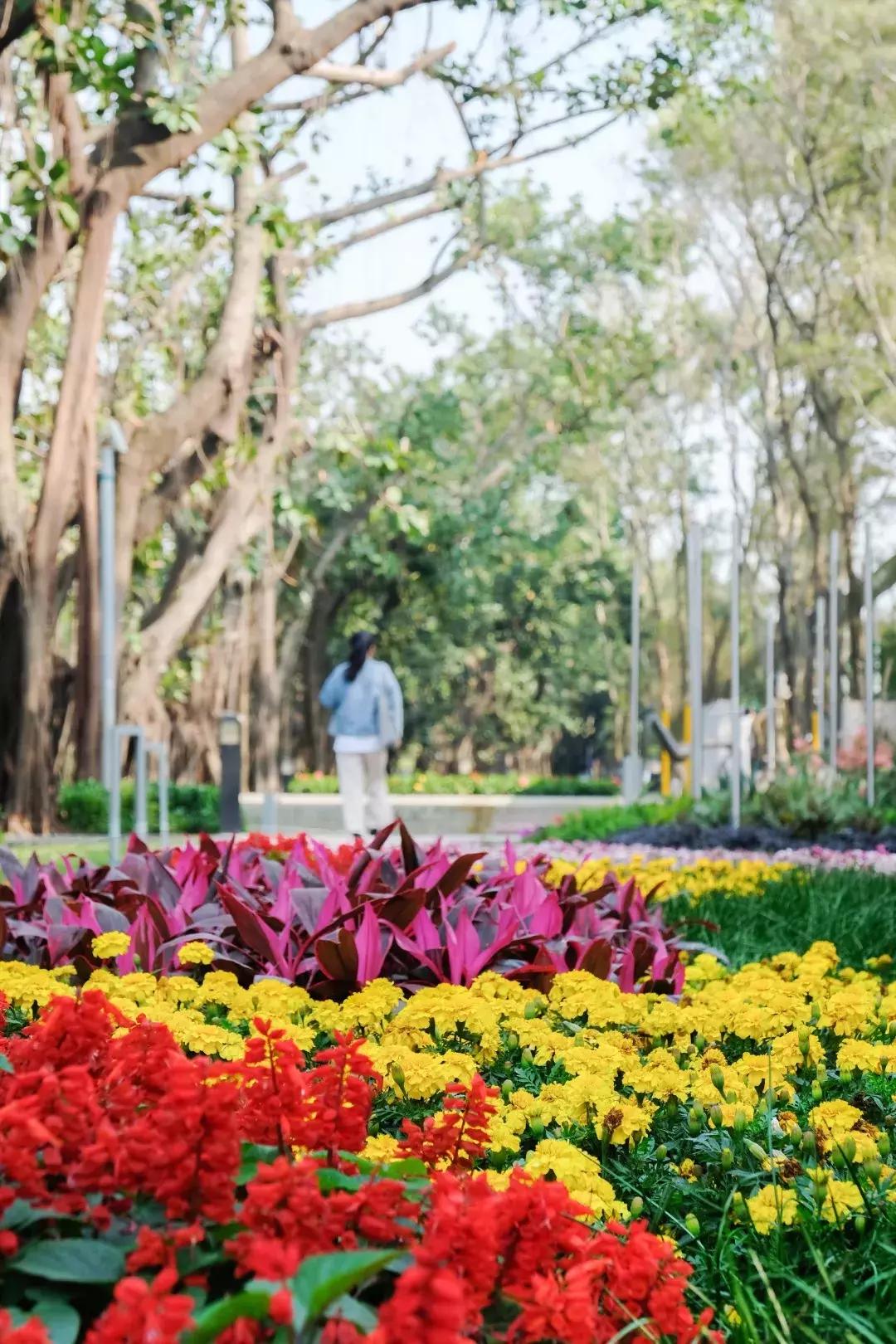 如今的世界之窗,介绍世界之窗