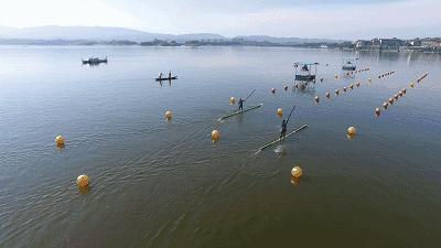 如何踩鸡蛋鸡蛋不会碎的原理,如何踩鸡蛋不碎