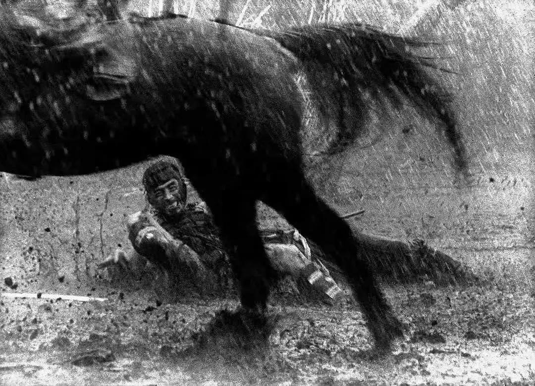 无马不自由！22部“有马”的电影，请盘住