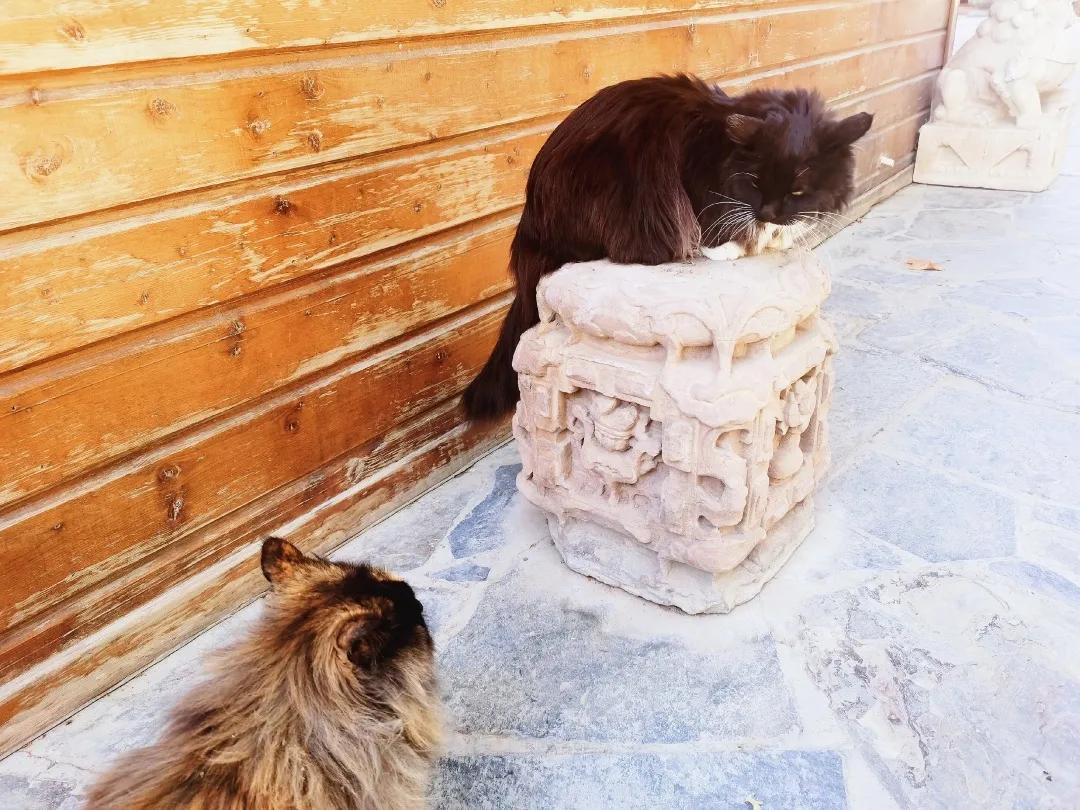 拼头条吗？好姐妹就要一起上啊