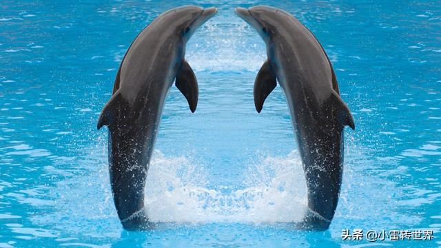 三亚亲子酒店攻略,三亚亲子旅游攻略5天4晚