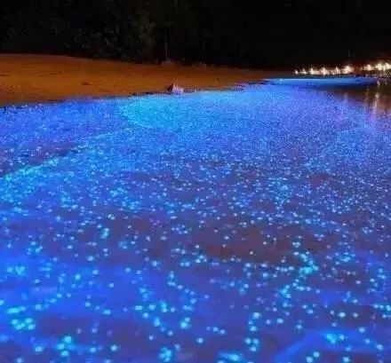 惠州双月湾君廷海景房酒店推荐,惠州双月湾海景房酒店优惠团