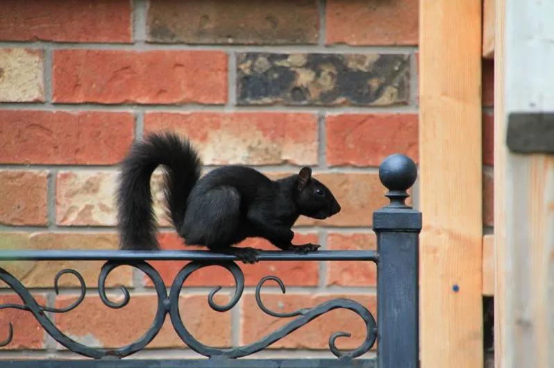 一看就懂的多机位,一看就懂的深度解读