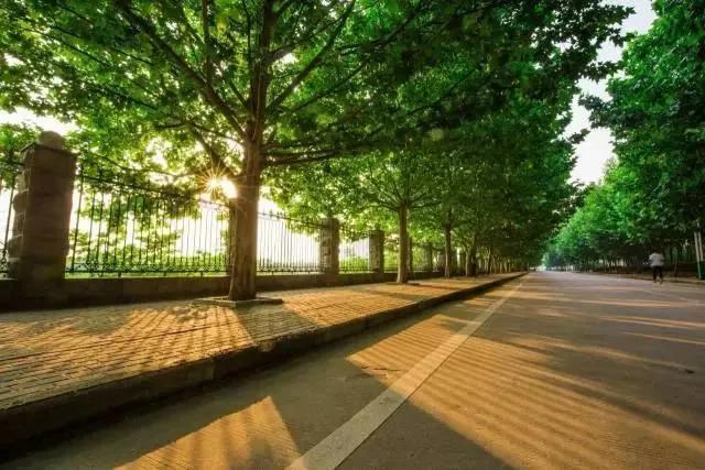 迟来的爱大学校园,黄淮学院什么时候变成一本了