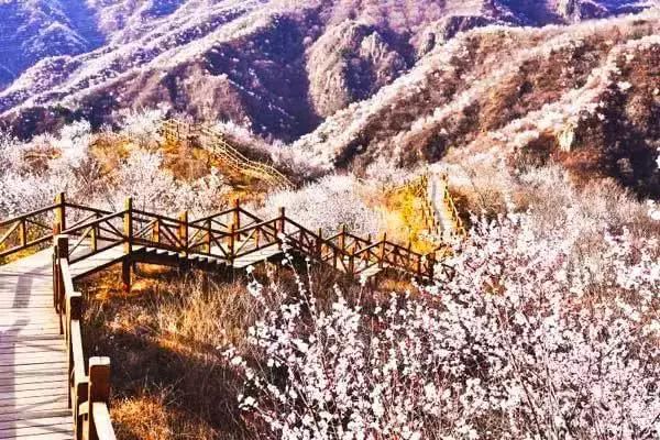 京郊四月美景,京郊四月