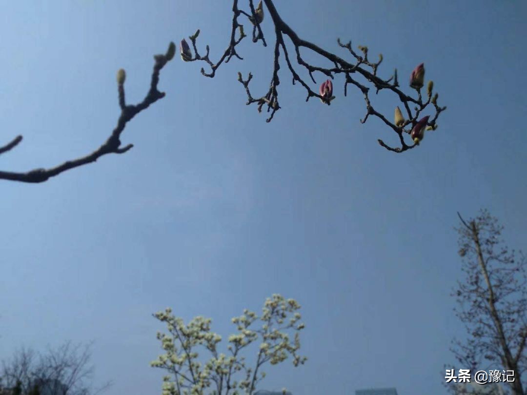 把故事讲给别人听,把故事讲给后来的人听