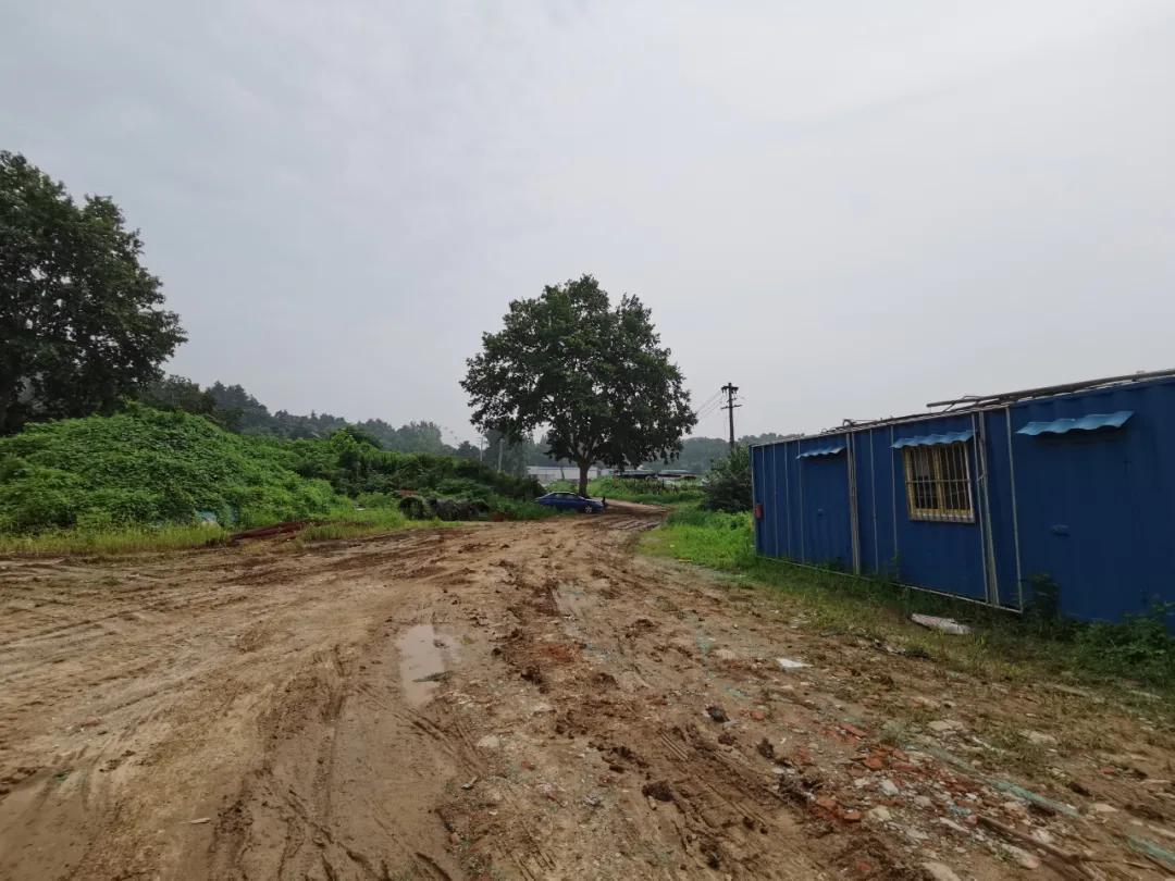 魔法森林不魔法，城北大型商综就这么没动静了？