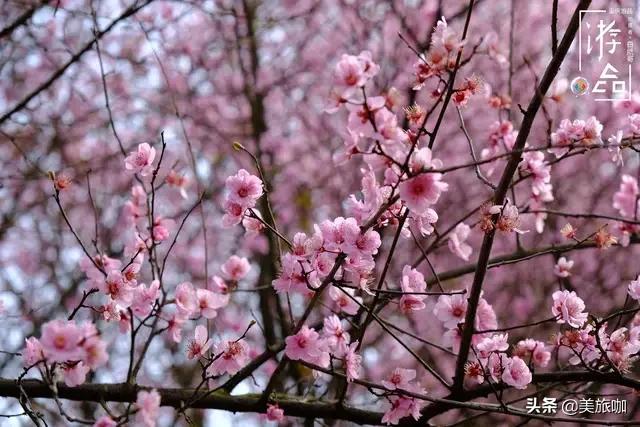 重庆老君山网红打卡拍照,重庆七星岗网红打卡景点