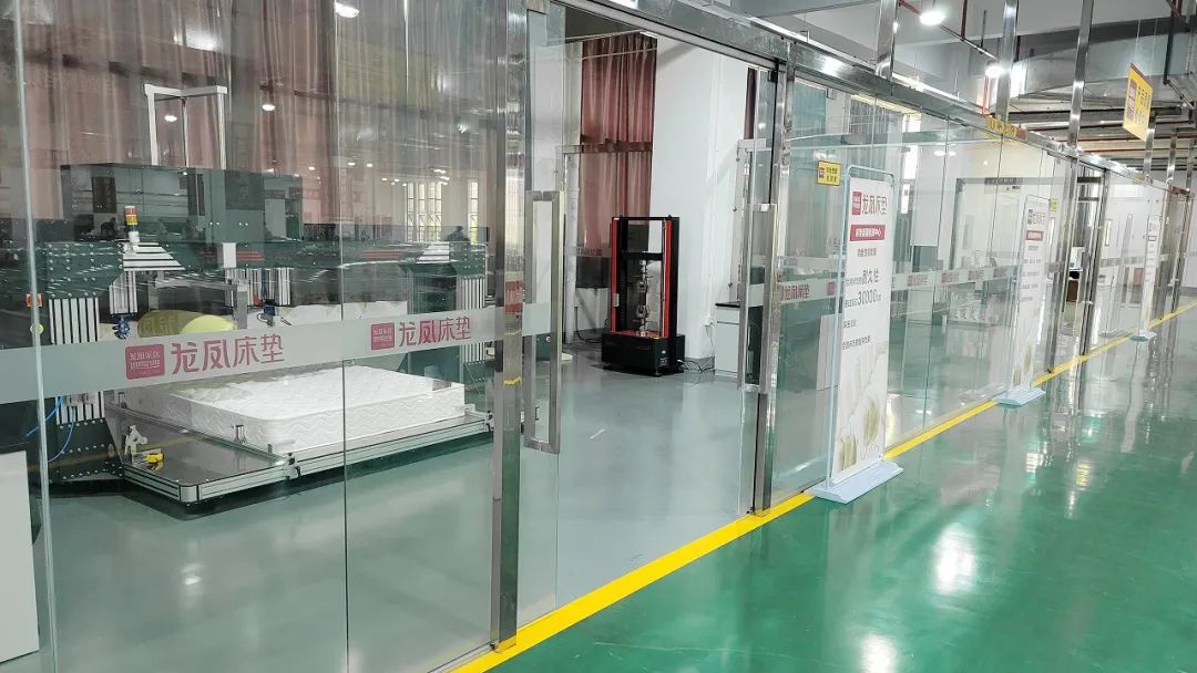 传经典致未来“龙凤家居66周年庆典”活动盛大举行