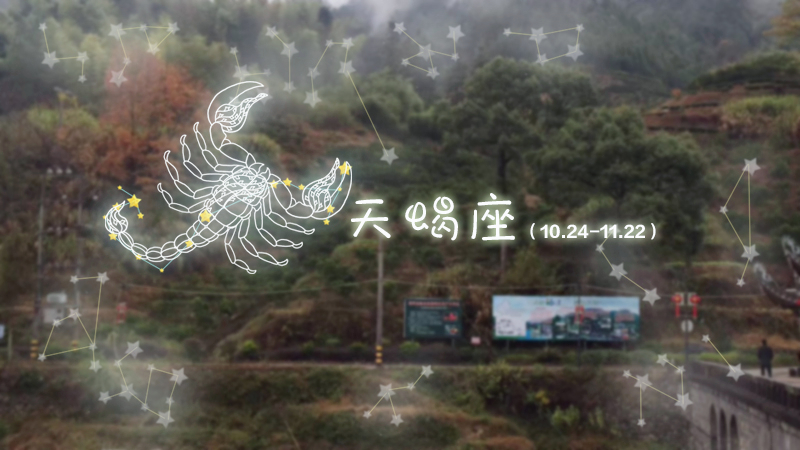 天蝎座和金牛座容易发生什么矛盾,金牛座天蝎座懒得吵架懒得沟通