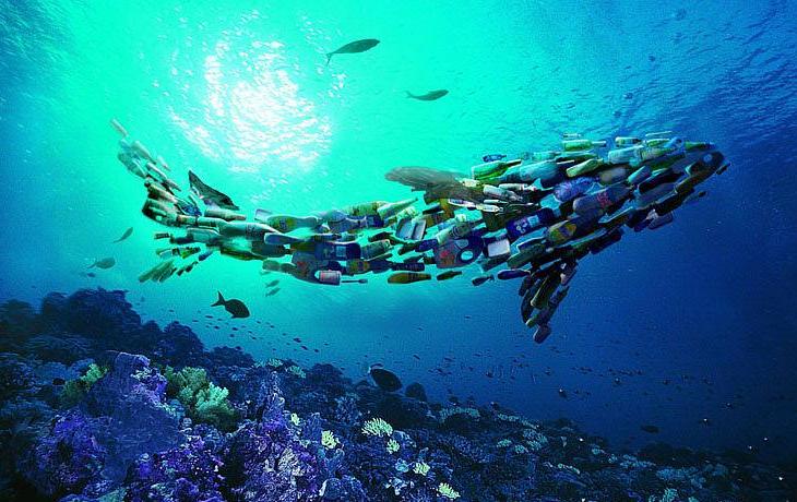 拿香烟当菜炒着吃,拿烟当饭吃