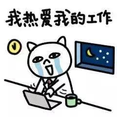 宠物315，这一年猫狗又吃了多少亏，挨了多少苦，受了多少骗