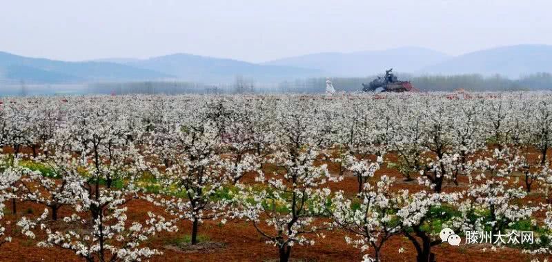 为什么要留在城市,为什么要留在家乡