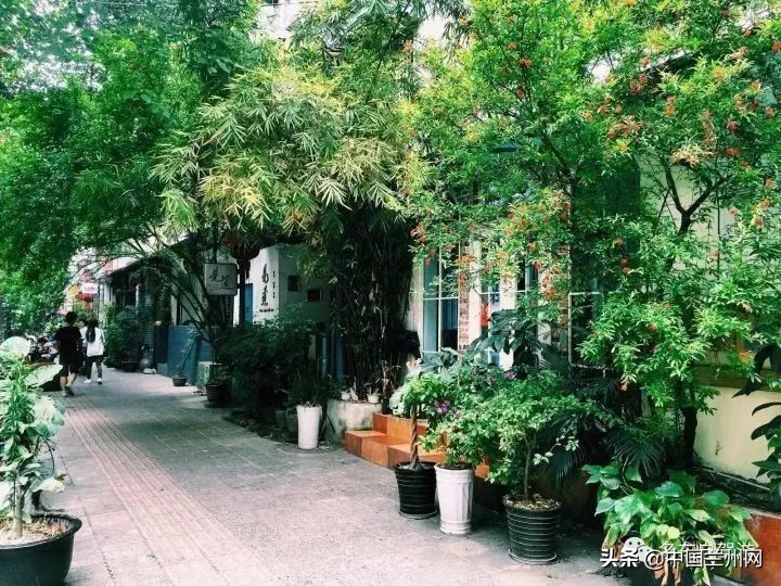 兰州到重庆绿巨人,兰州至上海绿巨人