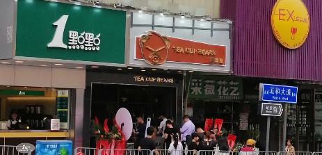 茶贝熊奶茶店现状,茶贝熊奶茶店是什么