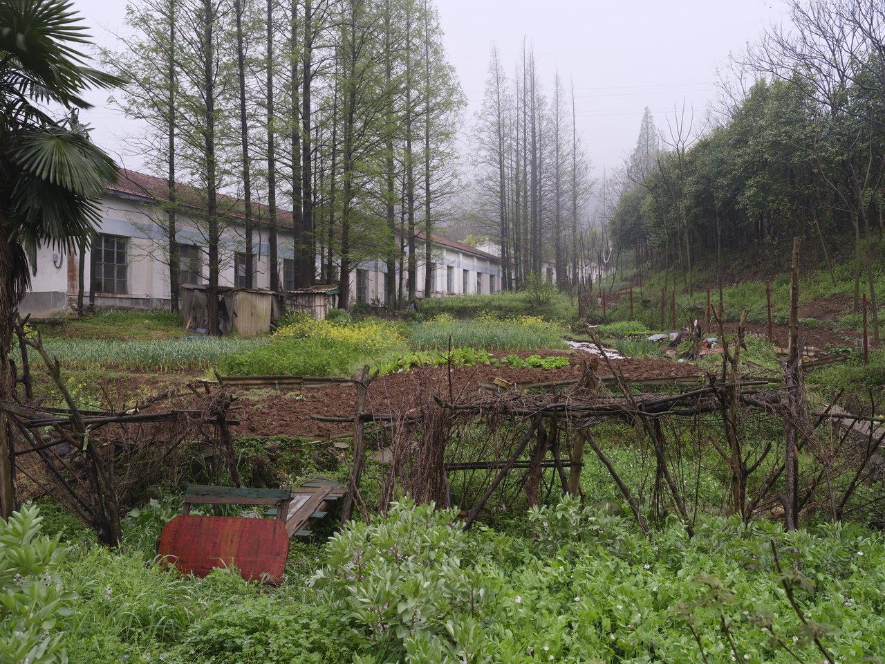 三线企业宏伟机械厂,三线企业宏伟机械厂老厂区视频