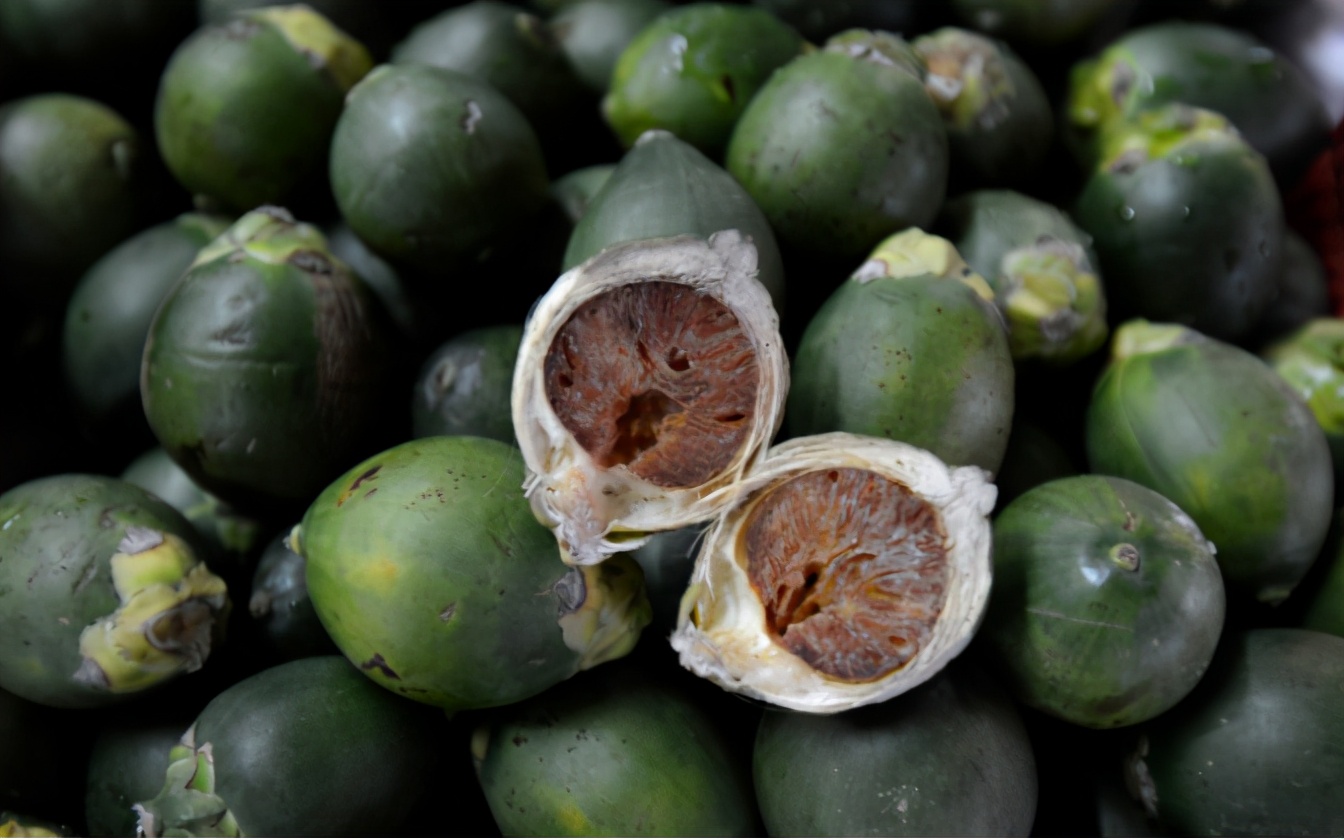 为什么吃了槟榔会有头晕的感觉,槟榔提神效果是咖啡的多少倍