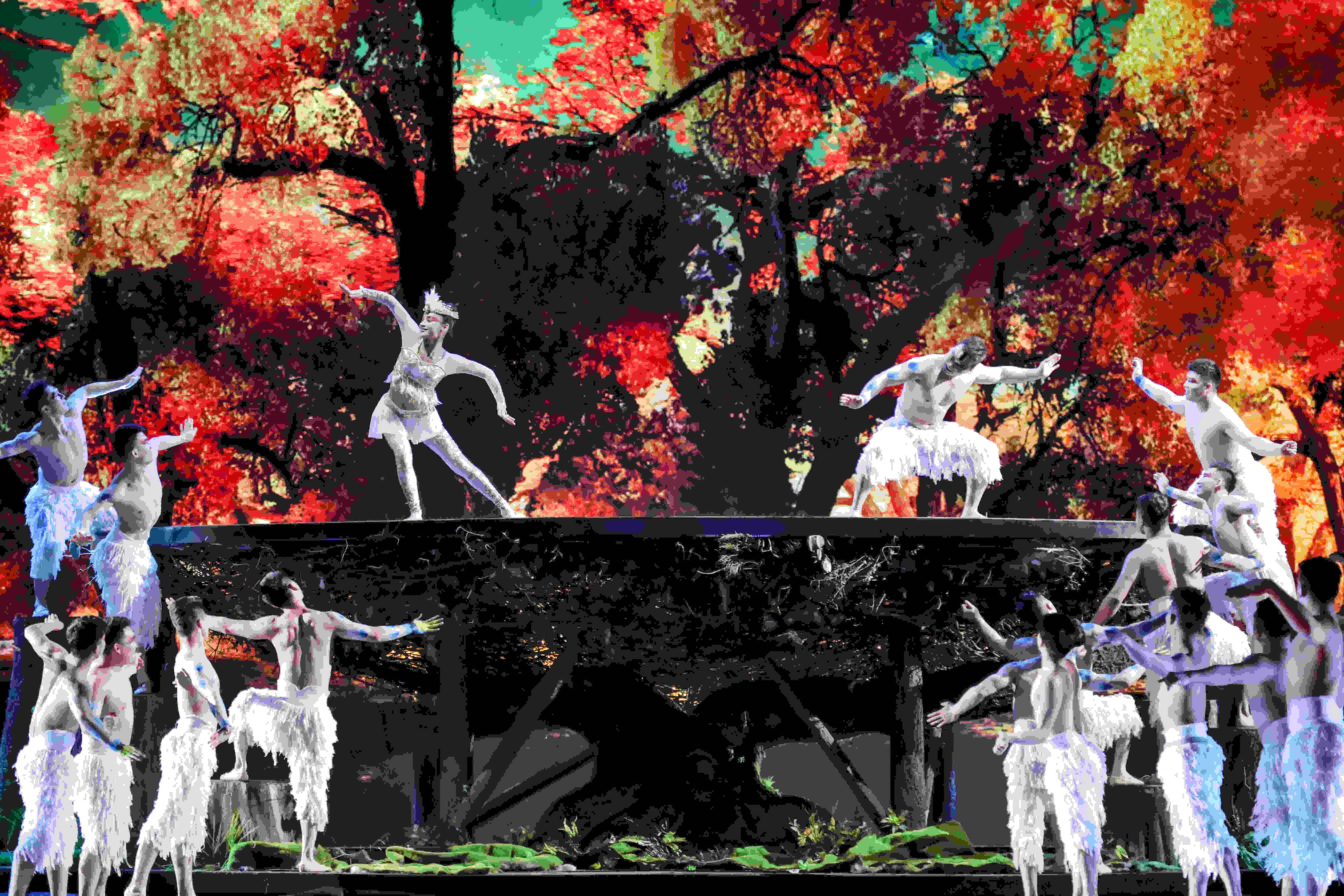 巅峰之夜杂技舞,巅峰之夜惊险表演