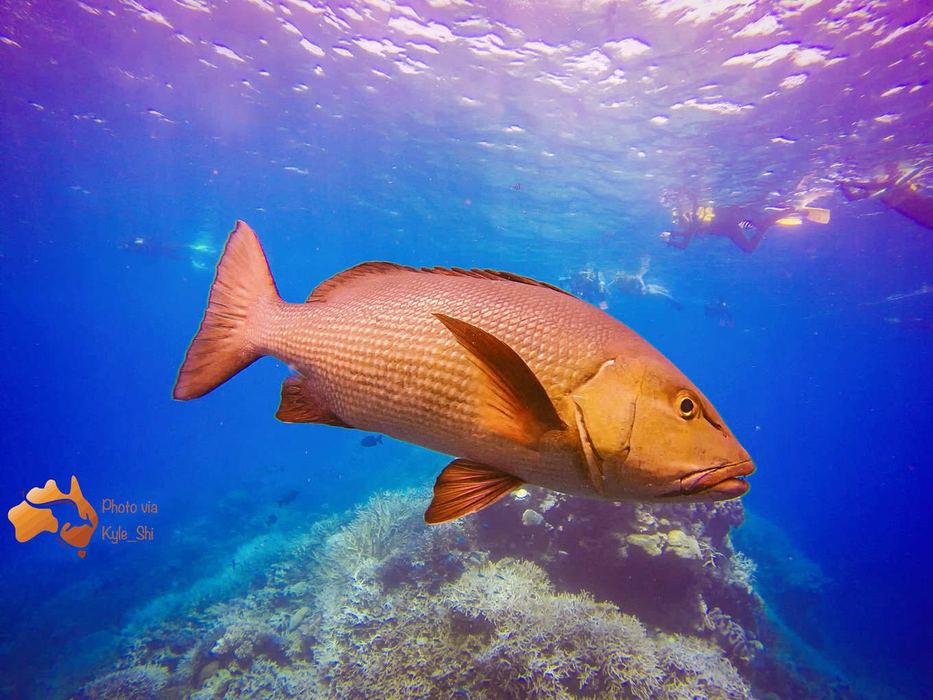 果小姐的旅游日记,澳洲自驾一日游攻略