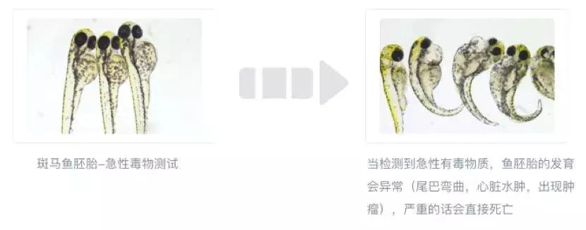 「测评」一个女人一辈子约10年在卫生巾度过，选对卫生巾很重要