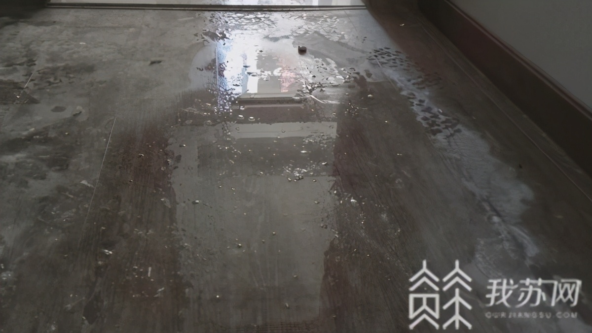 绿城深蓝房子怎样,绿城精装房问题