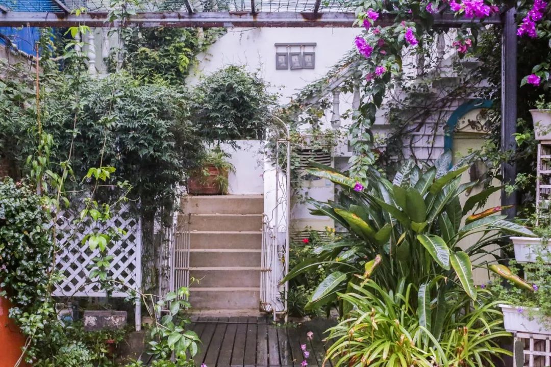 一个安徽爷爷，花1万块种出5000㎡私家花园，被评为中国最美