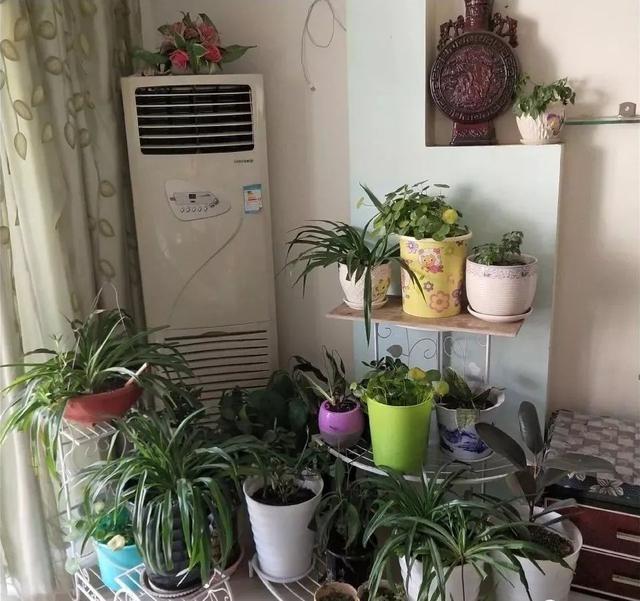 爸妈装修崩溃,爸妈装修的房子丑哭了