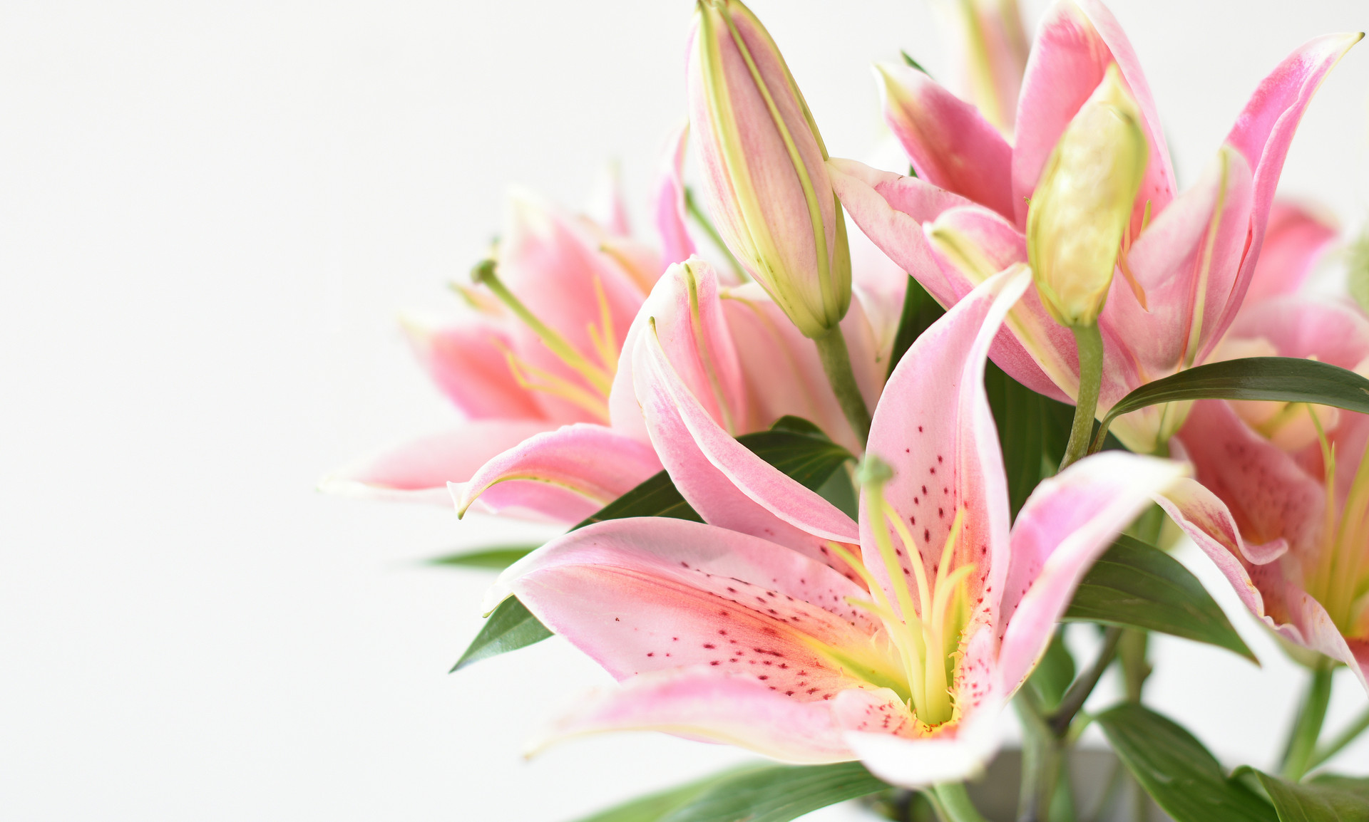 所谓日久见人心,俗话说日久见人心吗