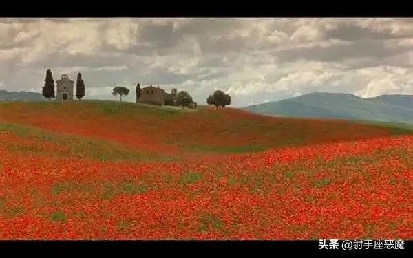 南男北女完整电影,南男北女完整版多少分钟