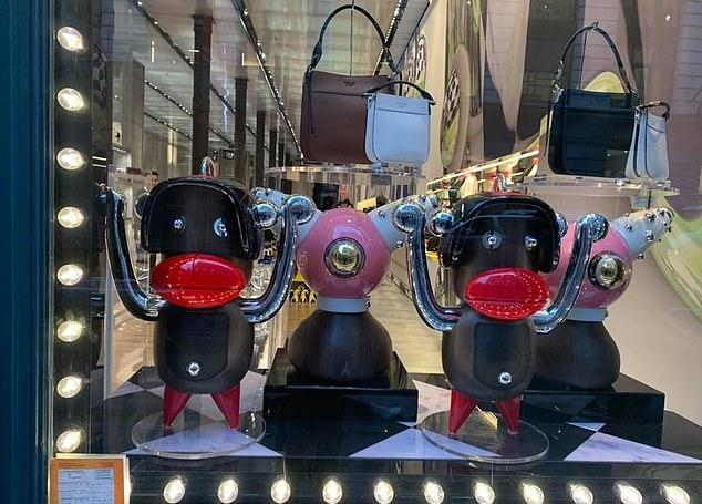 dg事件真相曝光,dg事件始末