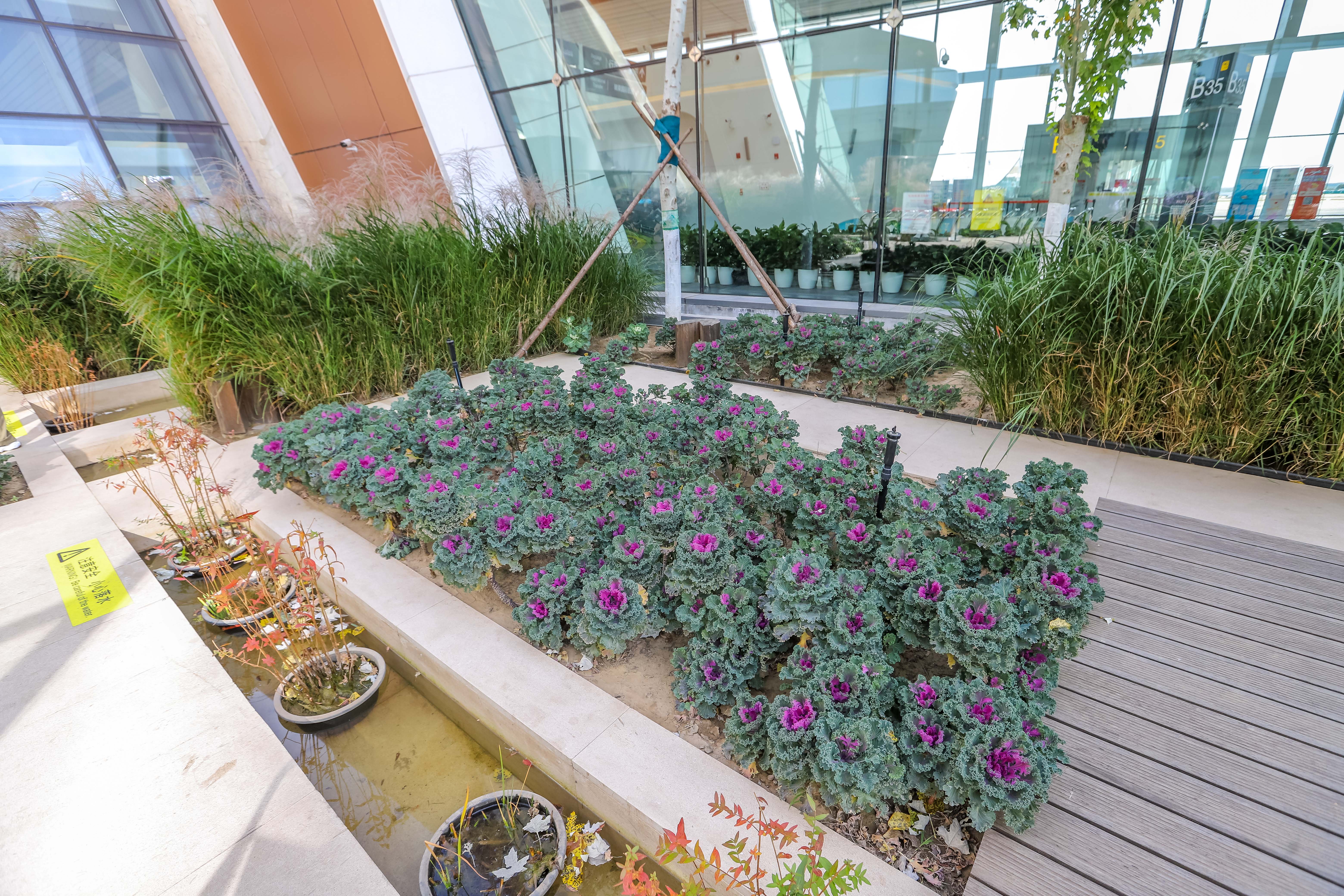 北京新晋网红打卡地,打卡北京新晋网红景区