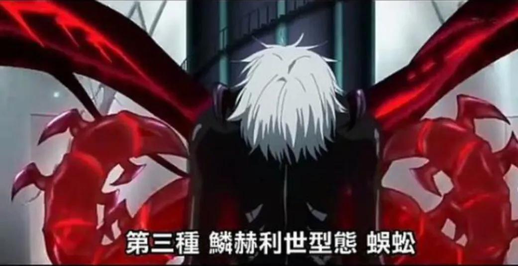 东京喰种金木研利世,东京喰种金木研13