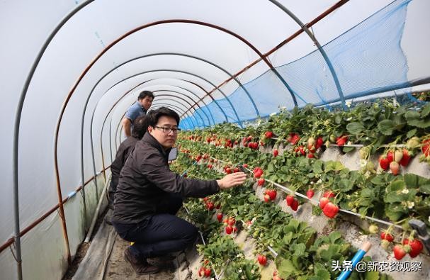 专访嗒嗒农服吴迪：深度聚集，技术为王，走出不一样的农服路