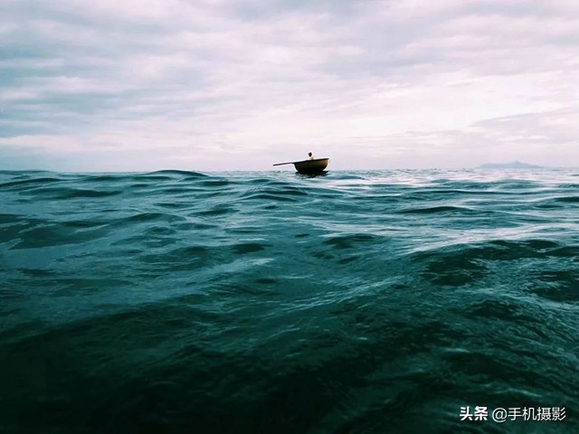 ippa摄影大赛年度总冠军,ippa摄影大赛2014