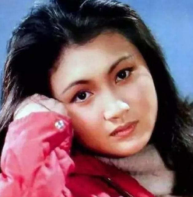 许晴王志文徐帆,王志文徐帆许晴江珊的故事